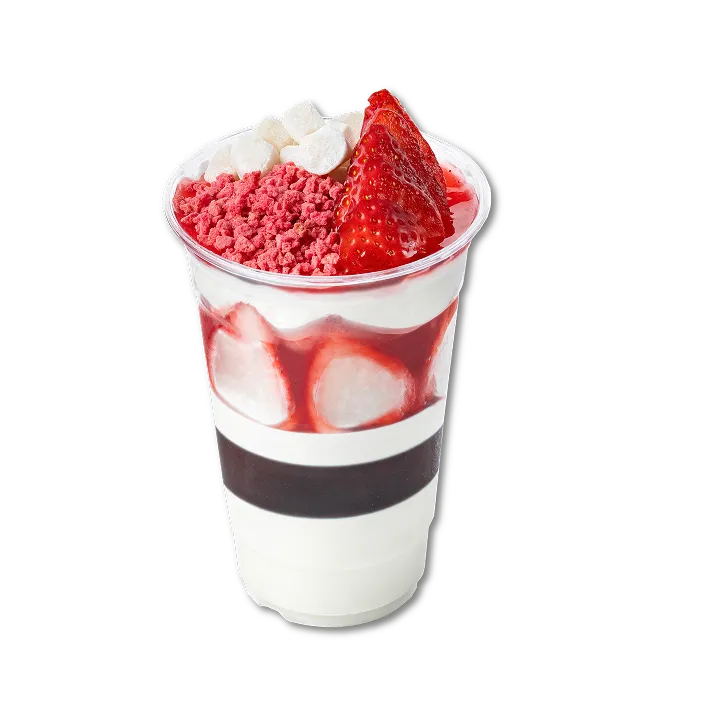Shaved ice menu 04