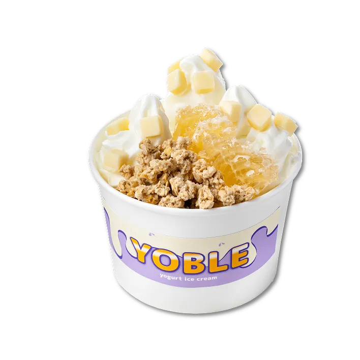 Yogurt ice cream menu 04