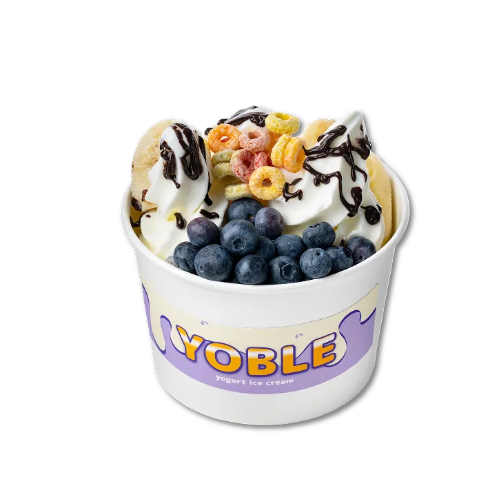 Yogurt ice cream menu 05