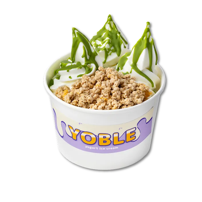 Yogurt ice cream menu 06