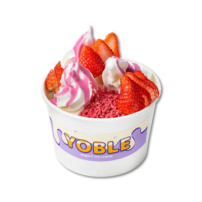 Yogurt ice cream menu 07