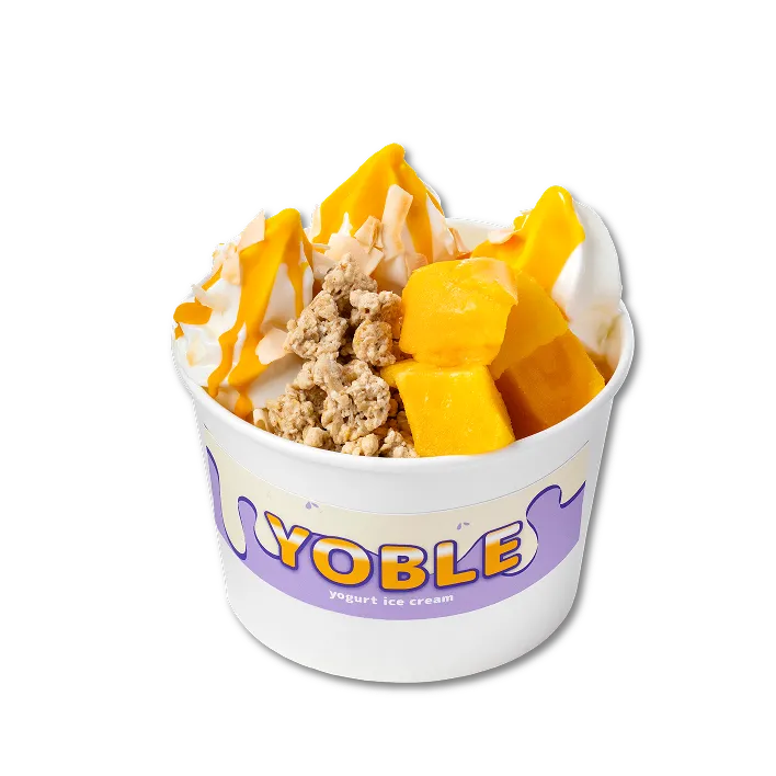 Yogurt ice cream menu 08