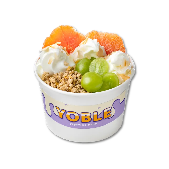 Yogurt ice cream menu 10